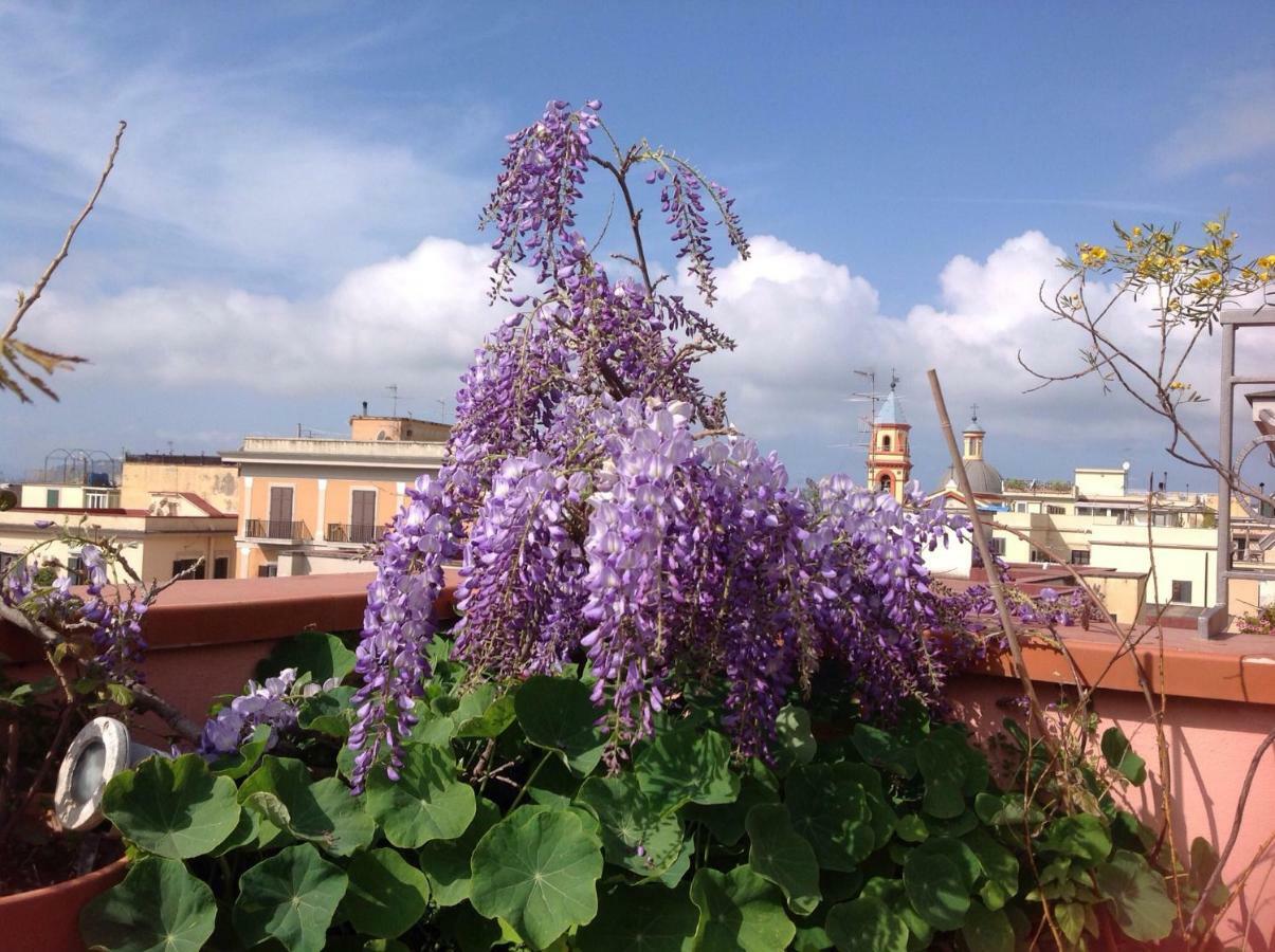 Il Nido Della Quaglia B&B - Jaba Mia House Lt Pozzuoli Exterior photo